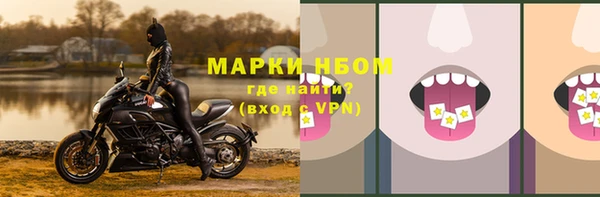 амф Верея
