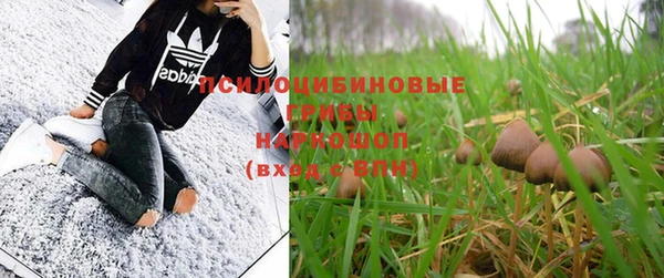 соль курить ск Верхний Тагил