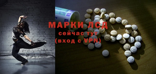 амф Верея